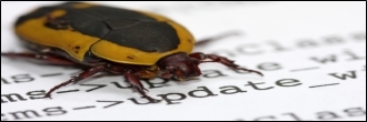Bug